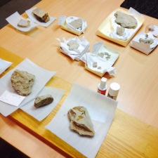 A selection from the day's conservation rounds. Labelling and cataloguing new specimens, supplemented by hours at the microscope; hunting for unique descriptive features on the fossil leaves and cones, or microscopic remains of insects that lived in the 95 million year old polar forest in which these rocks formed.